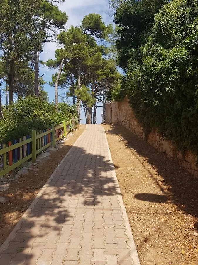 Apartment Zdenka Veli Lošinj 0*,  Chorwacja